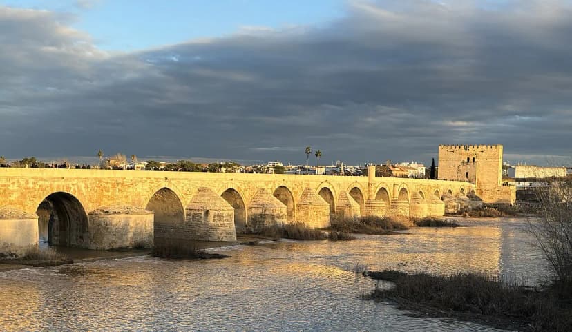 Feria de Córdoba 2026: Complete Guide to El Arenal's Open-Door Fair