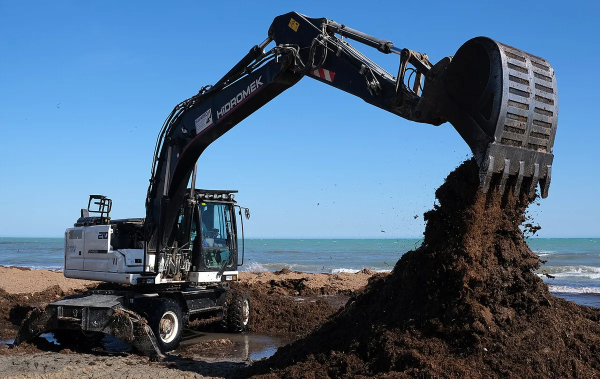 Excavator Postiguet Beach 2 — 2